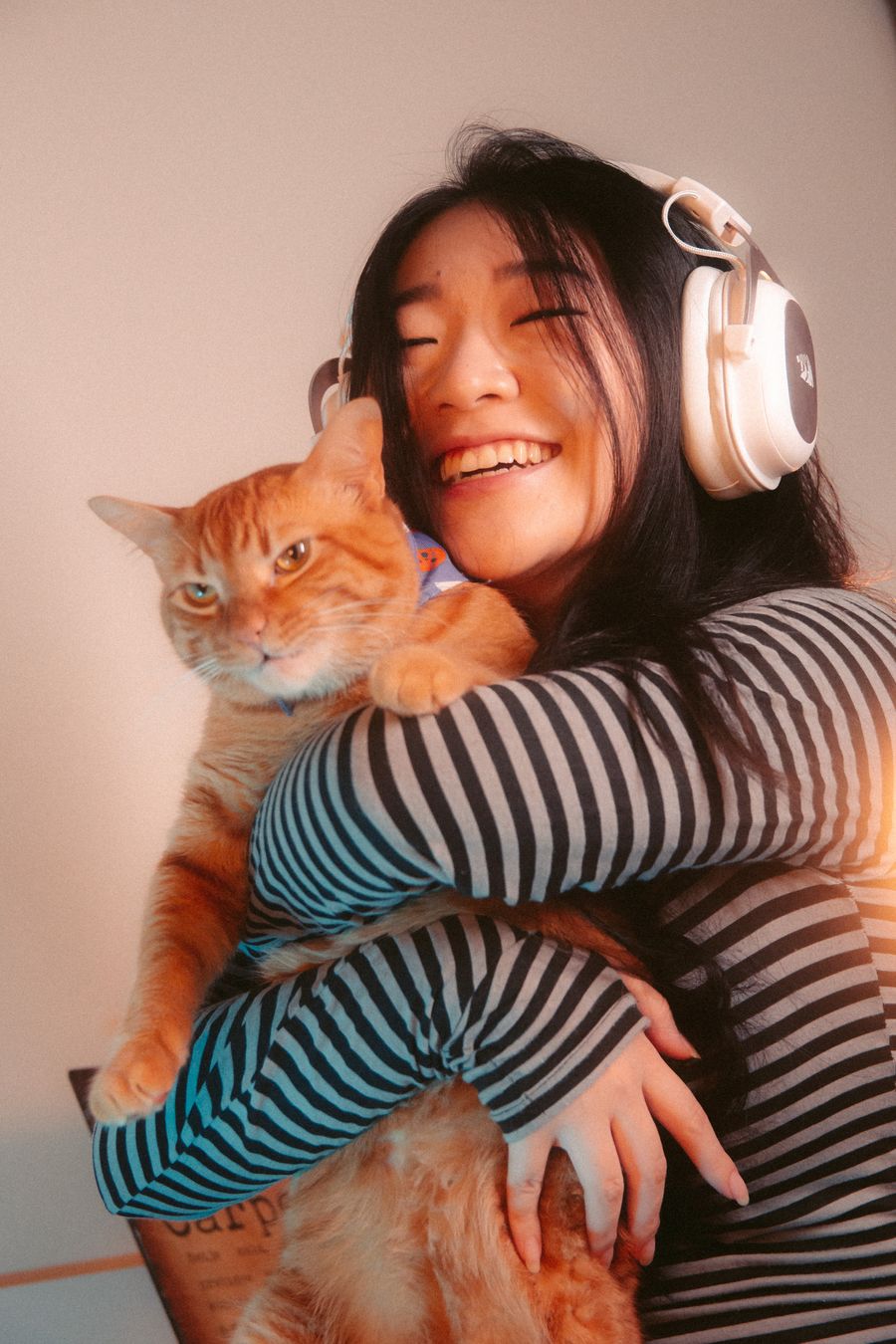Perros y gatos no reducen tu estrés, según un estudio