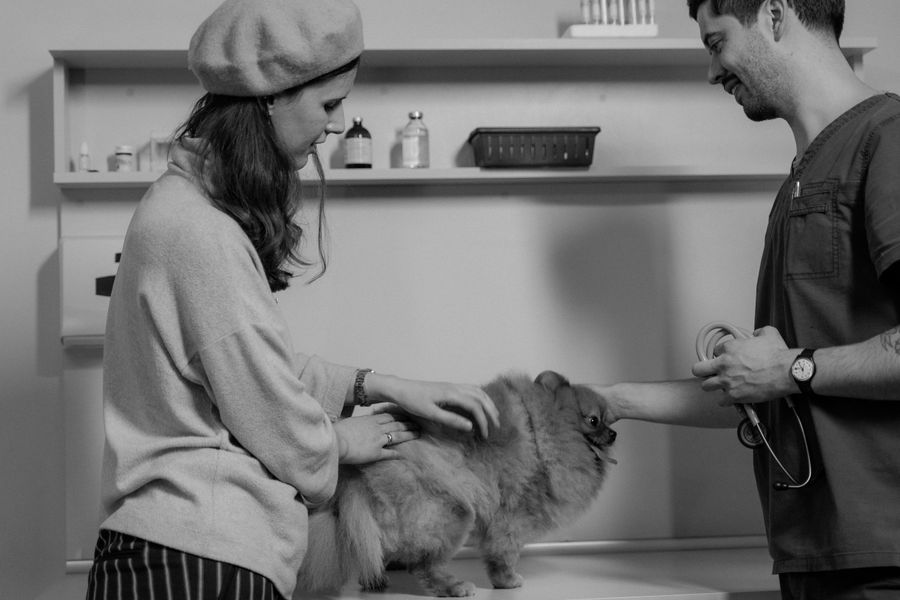 Tu veterinario podría subestimar el riesgo de la raza